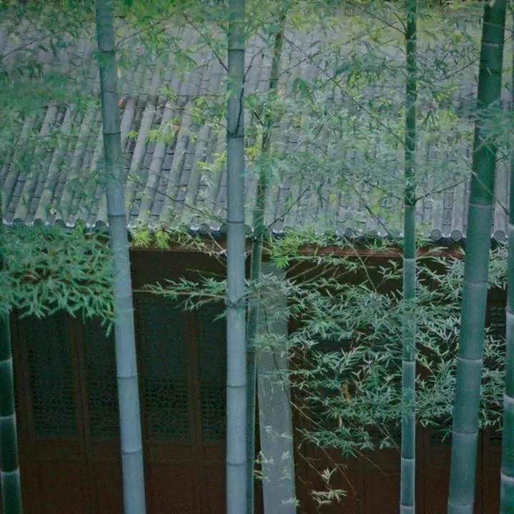 微信图片_20201222163256.jpg