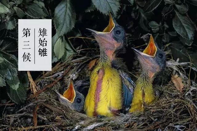 738cde8fedc74aa58317a070a391c0ad.jpeg 738cde8fedc74aa58317a070a391c0ad.jpeg